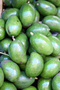 verse avocadotaze avokado.