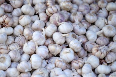 piyasadaki taze sarımsak.