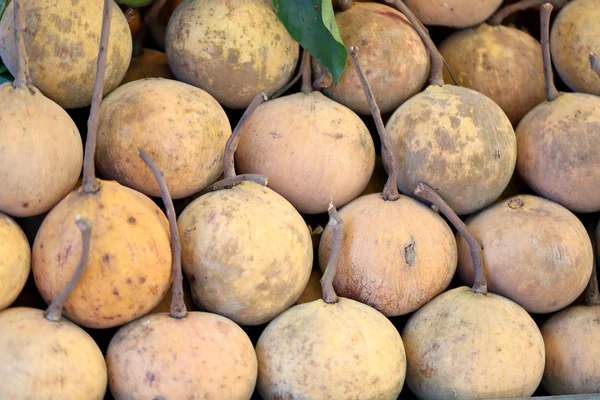 Fresh santol fruit. — Stock Photo, Image