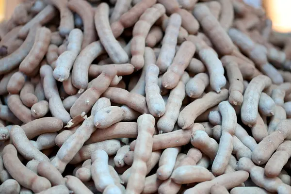 Färska tamarind frukt. — Stockfoto