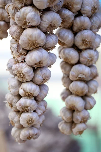 Garlic in the fresh market. — Stock Photo, Image