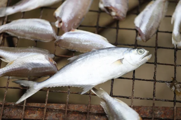 Dried fish. — Stock Photo, Image