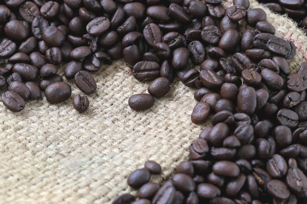 Coffee beans placed on bag sack. — Stock Photo, Image