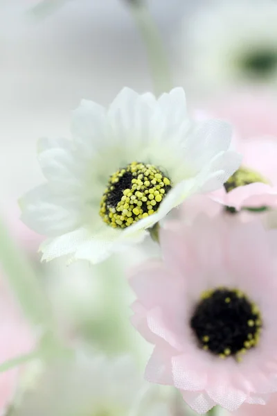 Focus colorful of artificial flowers. — Stock Photo, Image