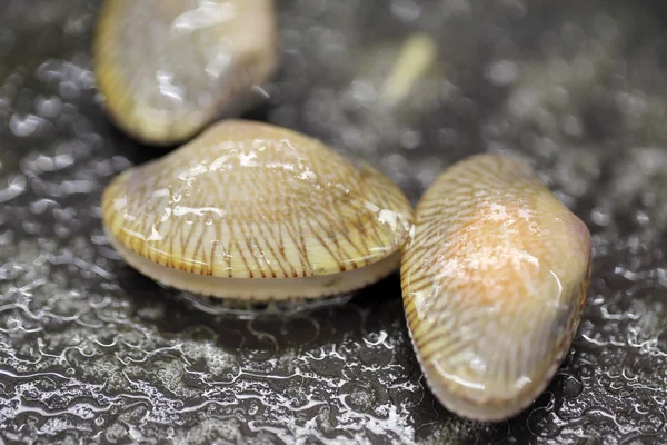 Amêijoas fritas com manteiga . — Fotografia de Stock