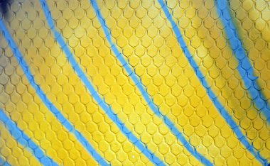 Arka plan parlak renkli.