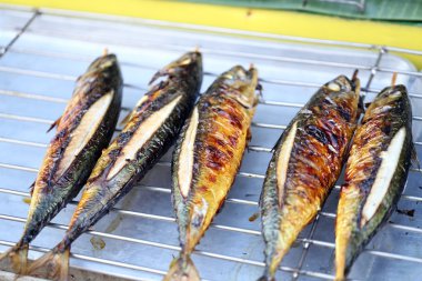 Izgara palamut balık.