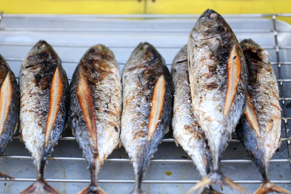 Ryba grilovaná bonito. — Stock fotografie