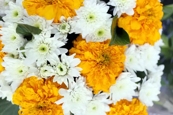Flores amarelas e brancas. — Fotografia de Stock