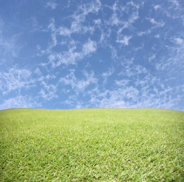 Groene weiden gedurende de dag. — Stockfoto