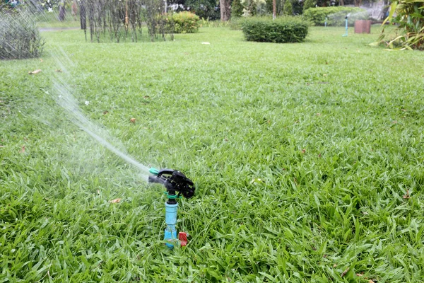 Springer sedang bekerja . — Stok Foto