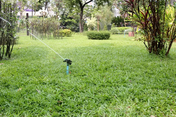 Springer sedang bekerja . — Stok Foto