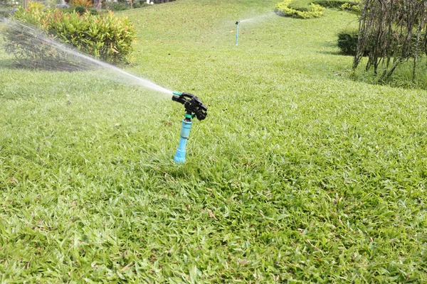 Springer sedang bekerja . — Stok Foto