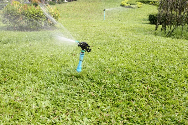 Springer sedang bekerja . — Stok Foto