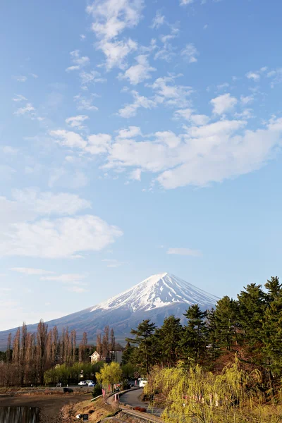富士山河口湖側の景色で. — ストック写真