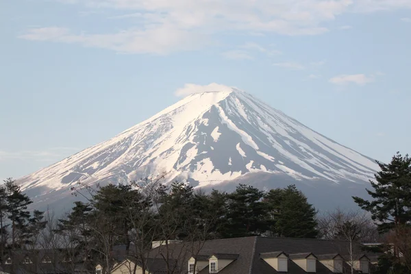 Mont Fuji. — Photo