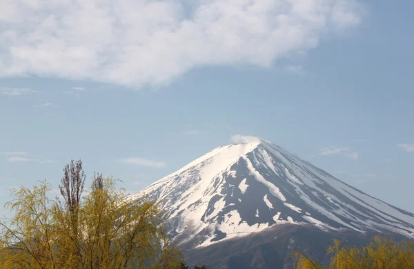 Fuji hegy. — Stock Fotó