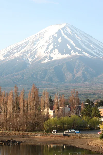 富士山と緑の松の木. — ストック写真