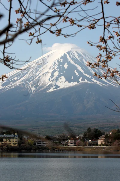 Mount Fuji and sakura not blossom. — Stock Photo, Image