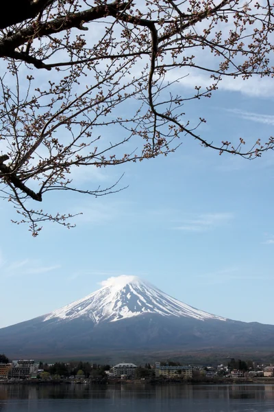 Mount Fuji and sakura not blossom. — Stock Photo, Image