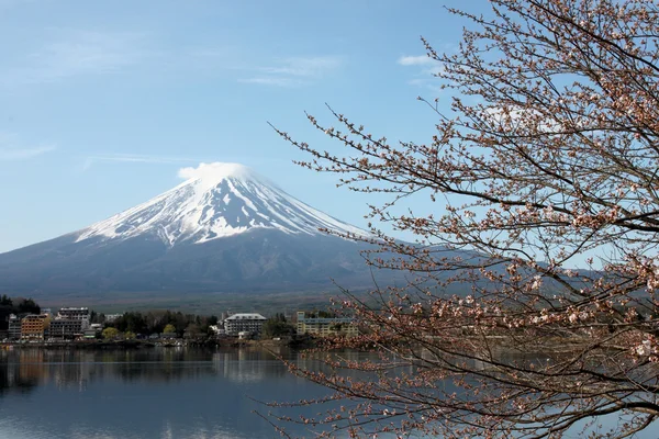 Mount Fuji and sakura not blossom. — Stock Photo, Image