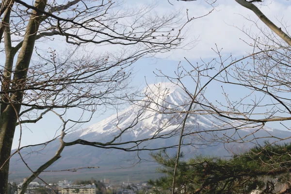 Gałąź drzewa i widok na Mount Fuji. — Zdjęcie stockowe