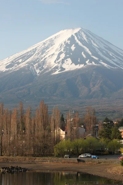 富士山と緑の松の木. — ストック写真