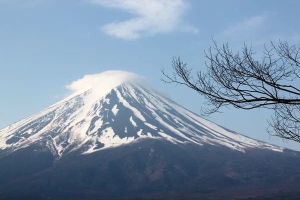 Fuji Dağı. — Stok fotoğraf