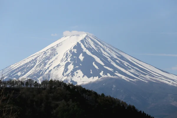 Mount fuji-kawaguchiko-tó. — Stock Fotó