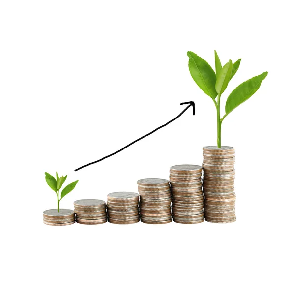 Silver coin stack and treetop in concept of business growth. — Stock Photo, Image
