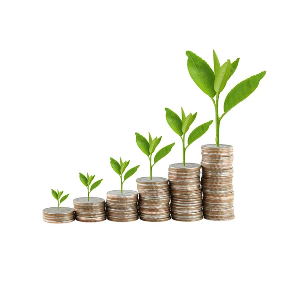 Zilveren munt stack en treetop in concept van bedrijfsgroei. — Stockfoto