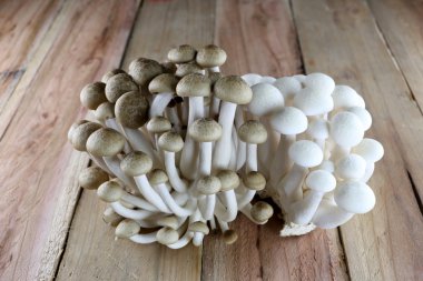 shimeji mantarları.