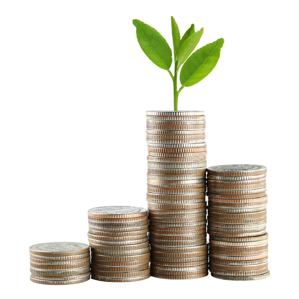 Zilveren munt stack en treetop in concept van groei. — Stockfoto