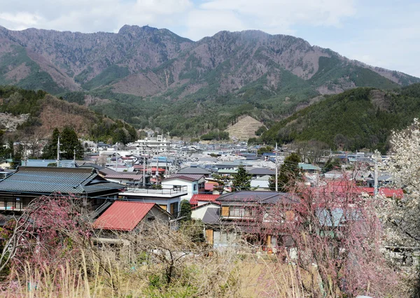 Desa-desa pedesaan di Jepang . — Stok Foto