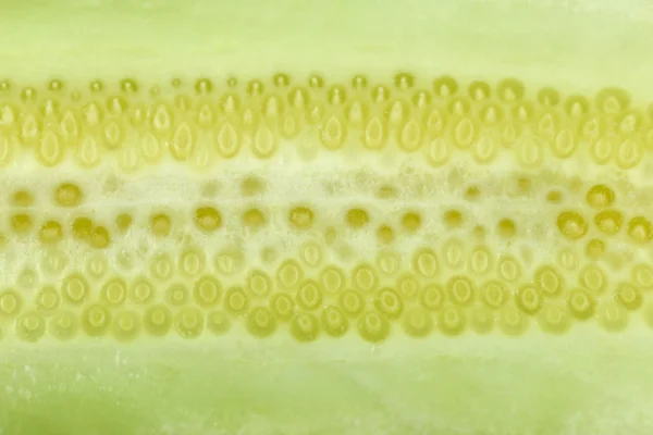 Texture du concombre de fraîcheur . — Photo