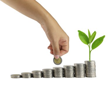 el yığını ve üzerinde beyaz izole treetop paralar koymak.