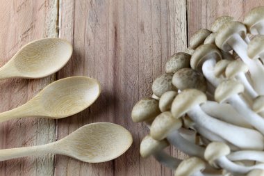 Shimeji mantar ve tahta kaşık.