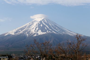 Kiraz çiçekleri çiçek açan ve Fuji Dağı'nın görünümünü değil.