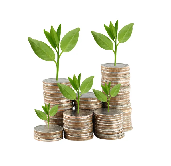 Zilveren munt stack en treetop in concept van groei. — Stockfoto