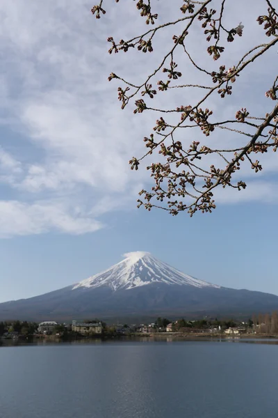 河口湖畔で富士山. — ストック写真