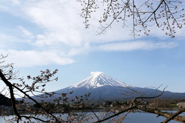 河口湖畔で富士山. — ストック写真