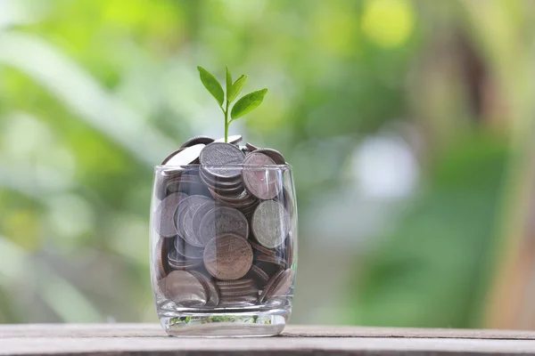 Zilveren munt in glas wordt geplaatst op een houten vloer en treetop growi — Stockfoto