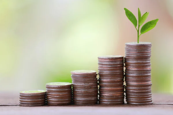 Silver coin stack and treetop in business growth concept on wood — Stock Fotó