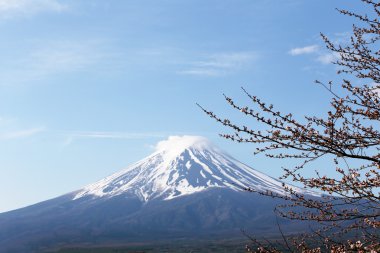 Kawaguchiko lake Side Fuji Dağı.