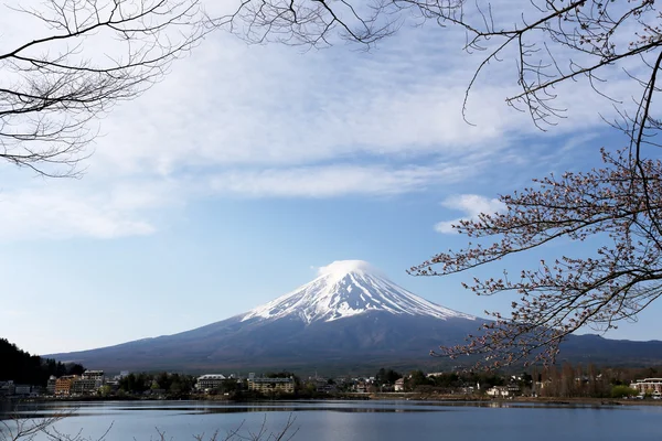 Mount Fuji in kawaguchiko lake side and branch tree. — Stock Photo, Image