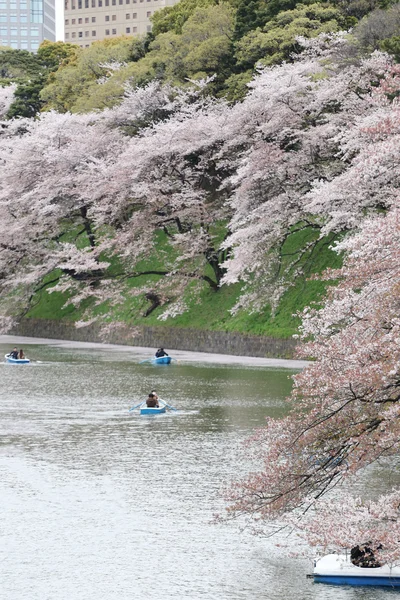 В Японії і мандрівник весло відпочинок в парк Chidorigafuchi — стокове фото