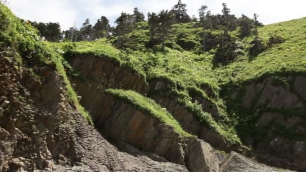 Gröna gräset nära pelare cape rock Kunashir — Stockvideo