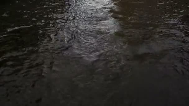 Visa från vatten till kyrkan av Uppståndelsekyrkan — Stockvideo