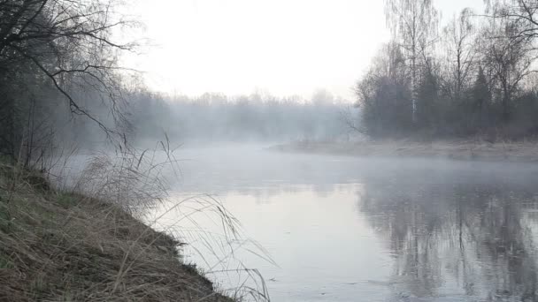 Frühmorgens auf dem nebligen Fluss im Frühling in Nordeuropa — Stockvideo