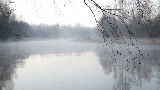 Ранним утром на туманной реке весной в Северной Европе — стоковое видео